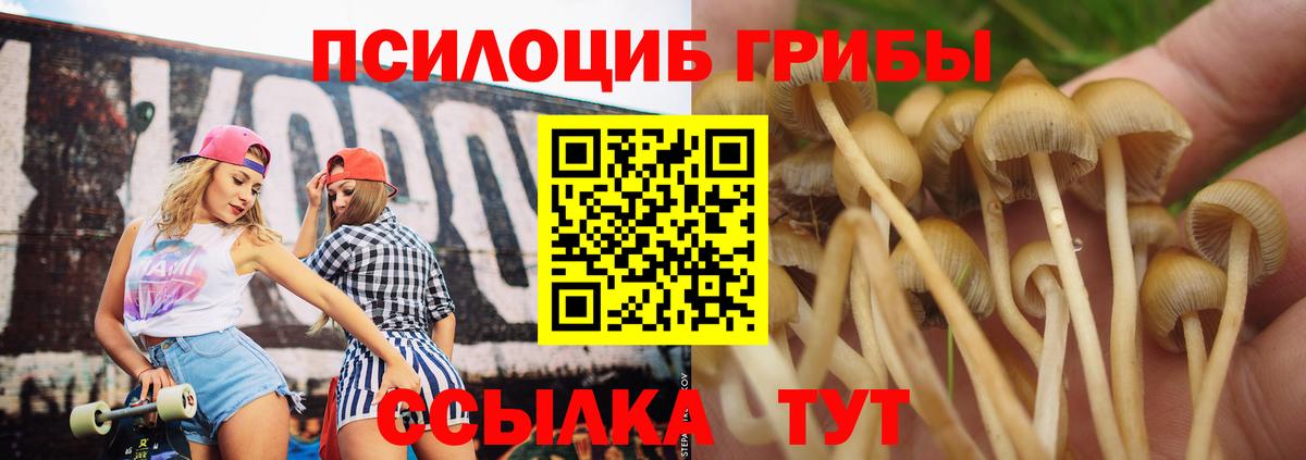 Галлюциногенные грибы MAGIC MUSHROOMS  Вход с VPN  Сарапул  Галлюциногенные грибы мицелий 